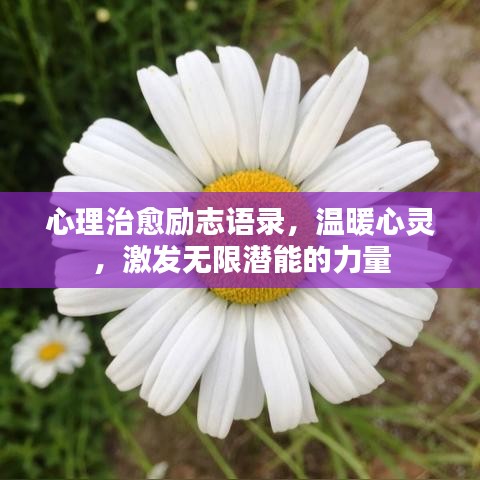 心理治愈勵志語錄，溫暖心靈，激發(fā)無限潛能的力量