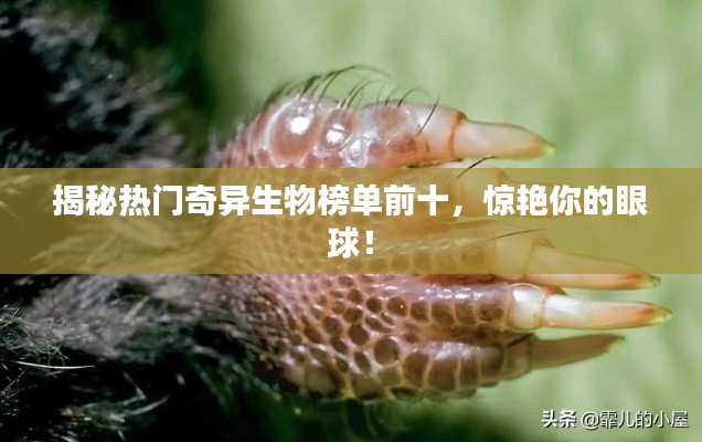 揭秘?zé)衢T(mén)奇異生物榜單前十，驚艷你的眼球！