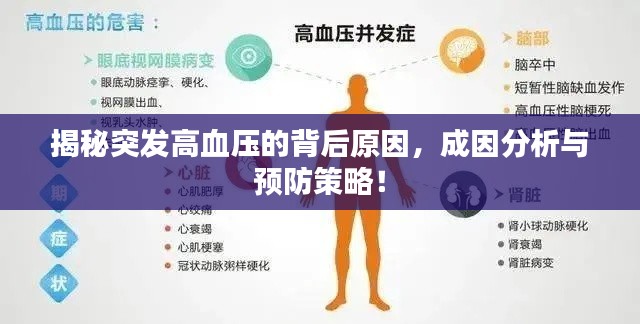 揭秘突發(fā)高血壓的背后原因，成因分析與預(yù)防策略！