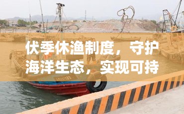 伏季休漁制度，守護海洋生態(tài)，實現(xiàn)可持續(xù)發(fā)展之路