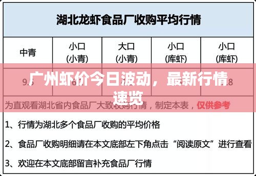 廣州蝦價(jià)今日波動，最新行情速覽