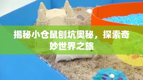 綱舉目張 第2頁