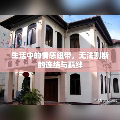 生活中的情感紐帶，無法割斷的連結(jié)與羈絆