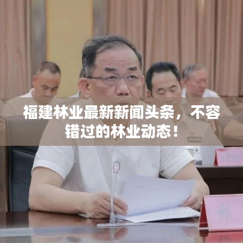 福建林業(yè)最新新聞?lì)^條，不容錯(cuò)過的林業(yè)動(dòng)態(tài)！
