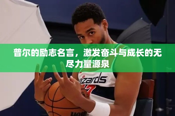 普爾的勵(lì)志名言，激發(fā)奮斗與成長(zhǎng)的無(wú)盡力量源泉
