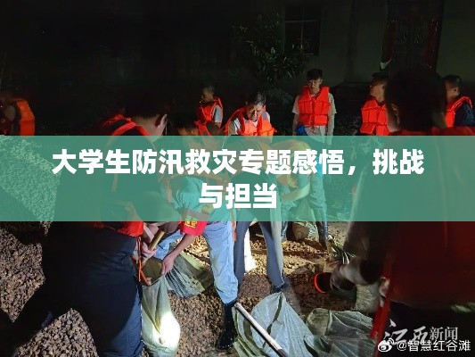 大學(xué)生防汛救災(zāi)專題感悟，挑戰(zhàn)與擔(dān)當(dāng)