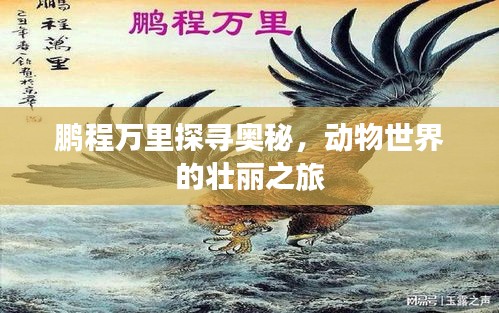 鵬程萬里探尋奧秘，動物世界的壯麗之旅