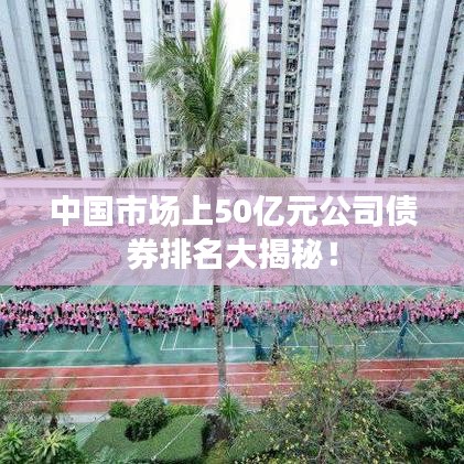 中國市場上50億元公司債券排名大揭秘！