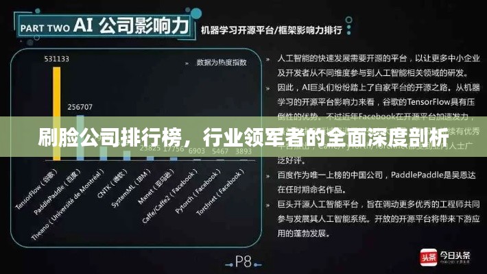 刷臉公司排行榜，行業(yè)領軍者的全面深度剖析