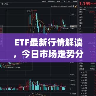 ETF最新行情解讀，今日市場(chǎng)走勢(shì)分析