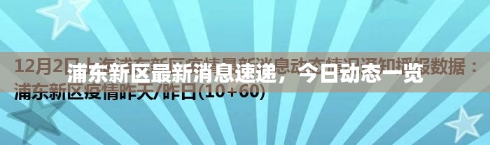 浦東新區(qū)最新消息速遞，今日動(dòng)態(tài)一覽