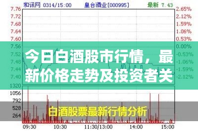 今日白酒股市行情，最新價格走勢及投資者關(guān)注焦點