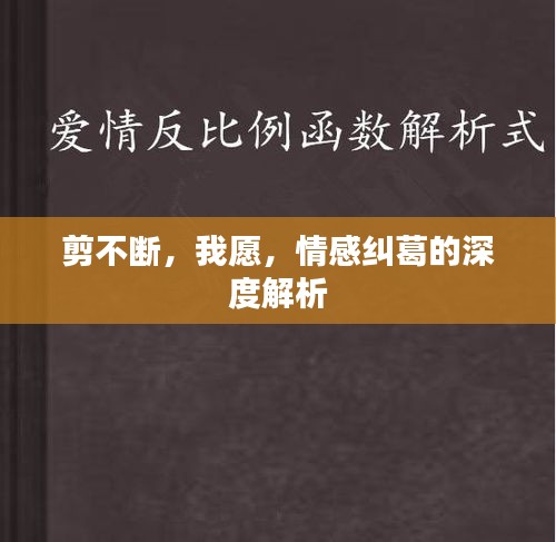 剪不斷，我愿，情感糾葛的深度解析