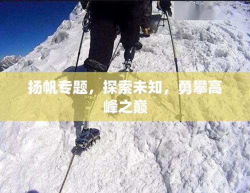 揚帆專題，探索未知，勇攀高峰之巔