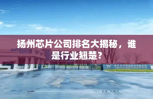 揚(yáng)州芯片公司排名大揭秘，誰是行業(yè)翹楚？