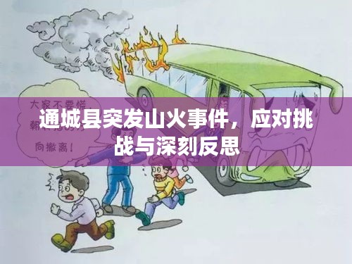 通城縣突發(fā)山火事件，應(yīng)對(duì)挑戰(zhàn)與深刻反思