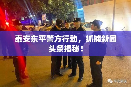 泰安東平警方行動，抓捕新聞頭條揭秘！