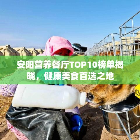 安陽營養(yǎng)餐廳TOP10榜單揭曉，健康美食首選之地