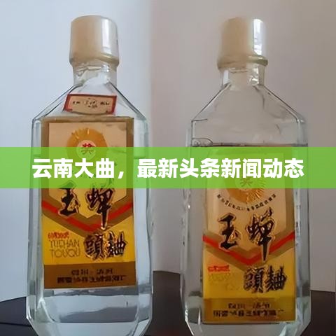 云南大曲，最新頭條新聞動態(tài)