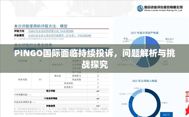 PINGO國際面臨持續(xù)投訴，問題解析與挑戰(zhàn)探究