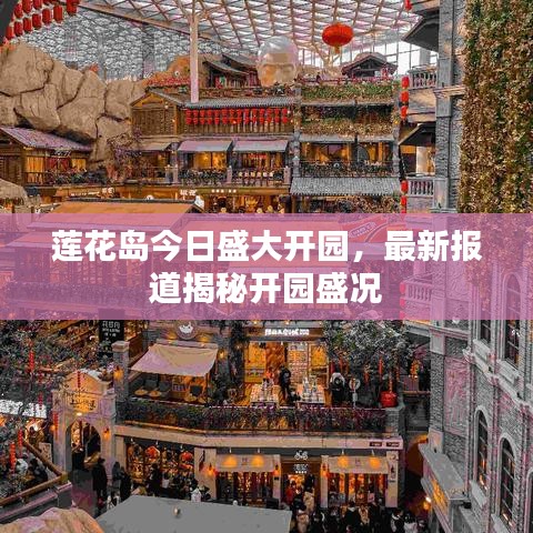 蓮花島今日盛大開園，最新報(bào)道揭秘開園盛況