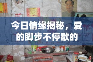 今日情緣揭秘，愛(ài)的腳步不停歇的最新動(dòng)態(tài)