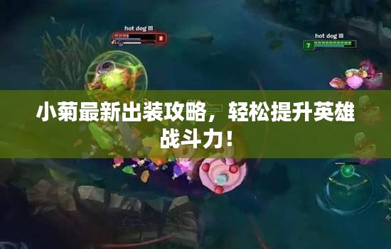 小菊最新出裝攻略，輕松提升英雄戰(zhàn)斗力！