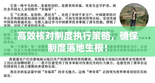 高效核對(duì)制度執(zhí)行策略，確保制度落地生根！