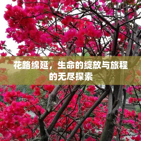 花路綿延，生命的綻放與旅程的無盡探索