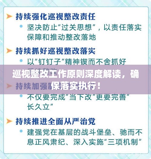 巡視整改工作原則深度解讀，確保落實執(zhí)行！