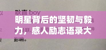 明星背后的堅(jiān)韌與毅力，感人勵(lì)志語錄大揭秘！