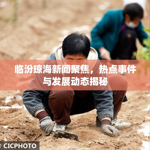 臨汾瓊海新聞聚焦，熱點(diǎn)事件與發(fā)展動(dòng)態(tài)揭秘