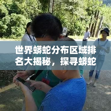 世界蟒蛇分布區(qū)域排名大揭秘，探尋蟒蛇棲息地的奧秘