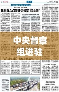 中央督察組進(jìn)駐丹東進(jìn)展更新，最新消息全面解讀