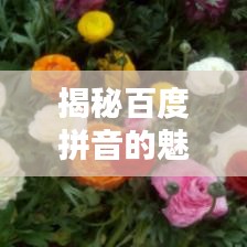揭秘百度拼音的魅力，一鍵探索全面精準(zhǔn)的拼音查詢