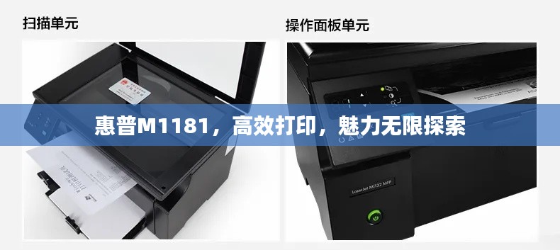 惠普M1181，高效打印，魅力無限探索