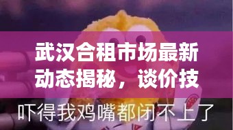 武漢合租市場(chǎng)最新動(dòng)態(tài)揭秘，談價(jià)技巧與租房攻略分享