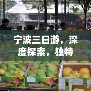 寧波三日游，深度探索，獨(dú)特體驗(yàn)之旅
