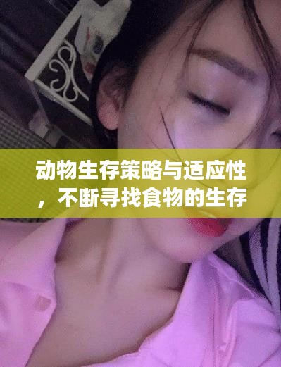 動物生存策略與適應性，不斷尋找食物的生存之道