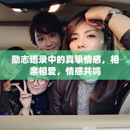 勵(lì)志語錄中的真摯情感，相親相愛，情感共鳴