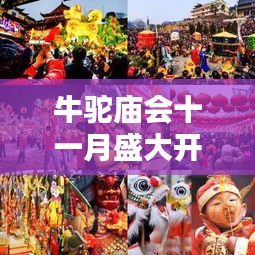 牛駝廟會(huì)十一月盛大開放，最新消息揭秘活動(dòng)安排