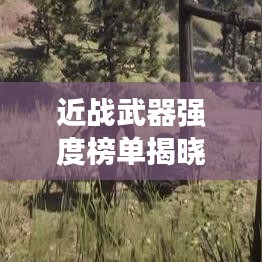 近戰(zhàn)武器強(qiáng)度榜單揭曉，前十名武器實(shí)力比拼！