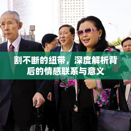 割不斷的紐帶，深度解析背后的情感聯(lián)系與意義
