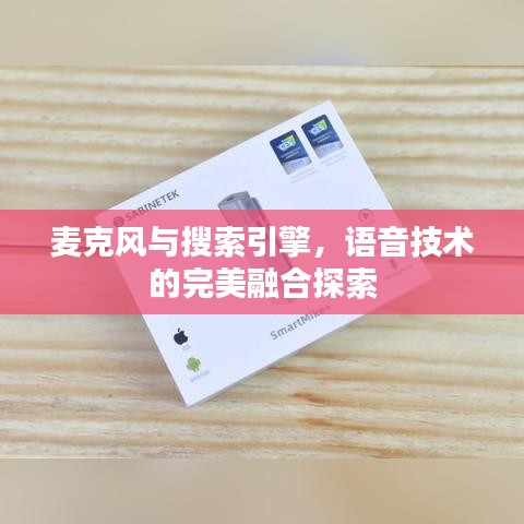麥克風(fēng)與搜索引擎，語音技術(shù)的完美融合探索