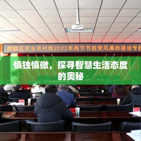 慎獨慎微，探尋智慧生活態(tài)度的奧秘