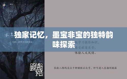 獨(dú)家記憶，墨寶非寶的獨(dú)特韻味探索
