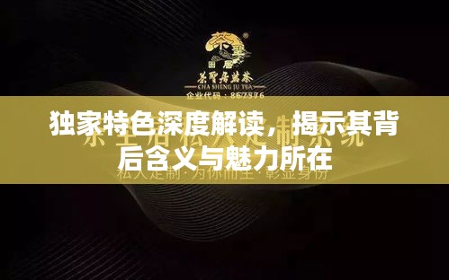 獨(dú)家特色深度解讀，揭示其背后含義與魅力所在