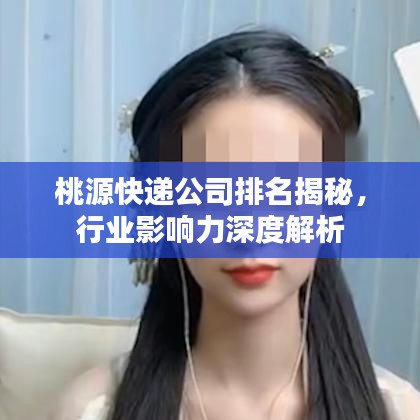 桃源快遞公司排名揭秘，行業(yè)影響力深度解析