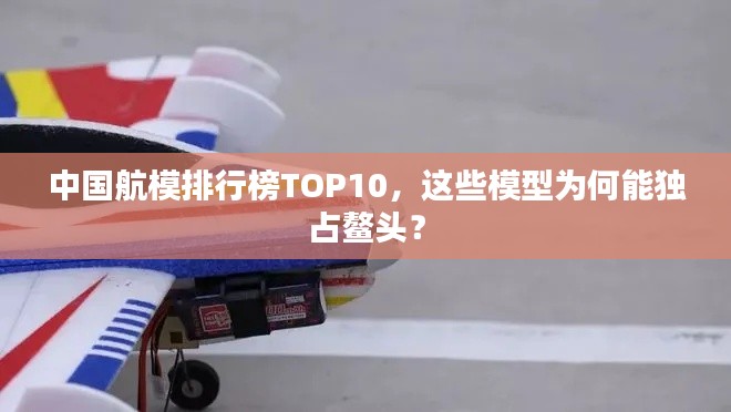 中國航模排行榜TOP10，這些模型為何能獨占鰲頭？