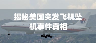 揭秘美國突發(fā)飛機(jī)墜機(jī)事件真相